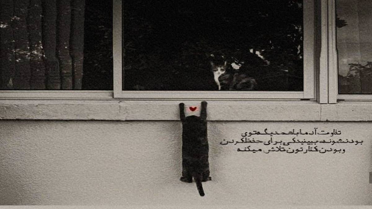  قیدمو زدی قیدتو زدم